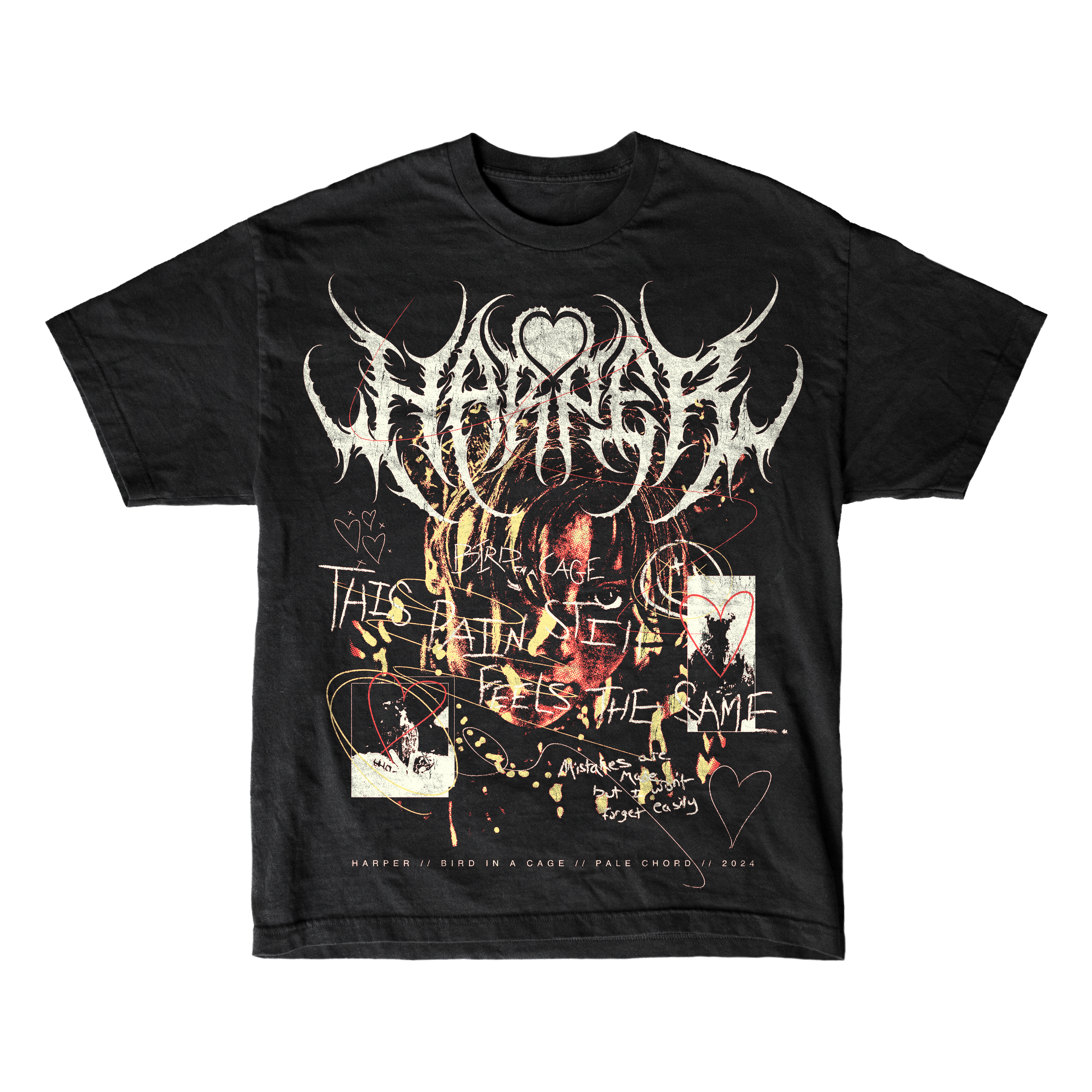 Bird In A Cage Black T-Shirt – PALE CHORD - Main Image