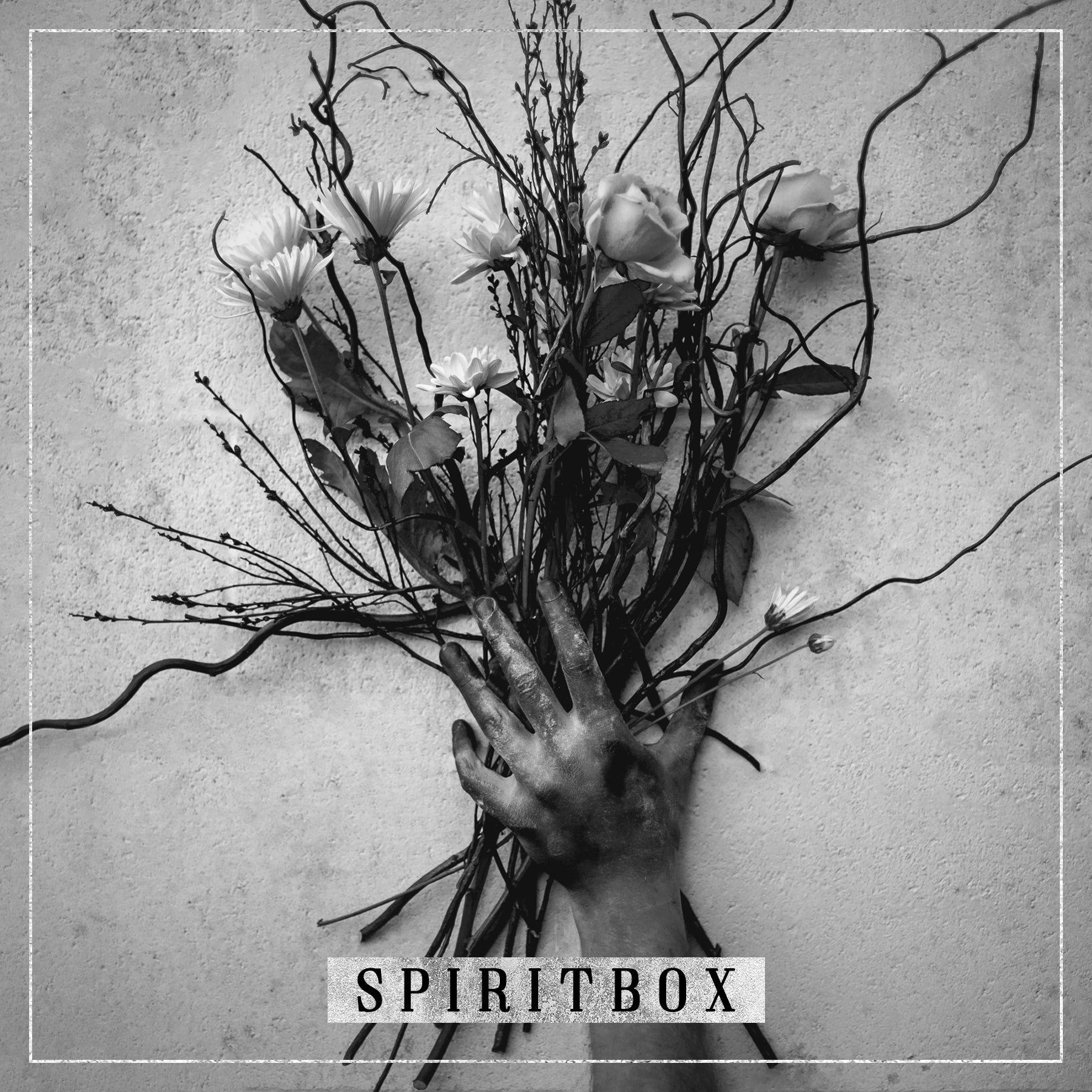 A black-and-white image of a dirty hand gripping a bouquet of flowers and twigs against a textured wall, with the word SPIRITBOX in bold letters at the bottom.